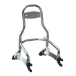 Load image into Gallery viewer, Steel 12 in. Universal Quick Release Passenger Sissy Bar