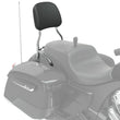 Load image into Gallery viewer, Steel 12 in. Universal Quick Release Passenger Sissy Bar