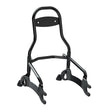 Load image into Gallery viewer, Steel 12 in. Universal Quick Release Passenger Sissy Bar