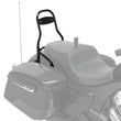 Load image into Gallery viewer, Steel 12 in. Universal Quick Release Passenger Sissy Bar