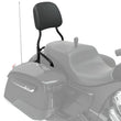 Load image into Gallery viewer, Steel 12 in. Universal Quick Release Passenger Sissy Bar