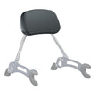 Load image into Gallery viewer, Low Profile Quick Release Passenger Sissy Bar