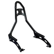 Load image into Gallery viewer, Bolt-On Sissy Bar (MY22+ Chief)