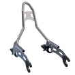 Load image into Gallery viewer, Quick Release Sissy Bar (MY22+ Chief)