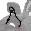 Load image into Gallery viewer, Quick Release Sissy Bar (MY22+ Chief)