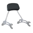 Load image into Gallery viewer, Low Profile Quick Release Passenger Sissy Bar