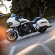 Load image into Gallery viewer, Low Profile Quick Release Passenger Sissy Bar