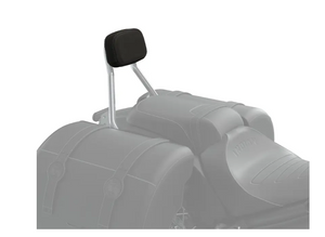 Rider and Passenger Sport Backrest Pad