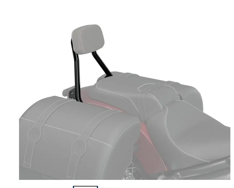 Syndicate Low Profile Passenger Backrest