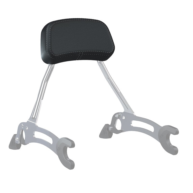 Low Profile Quick Release Passenger Sissy Bar